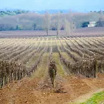 Bellevue Cite Chez Jean - Vue Directe Cite, Cite A 200m, Clim, Parking Public Gratuit A 200m, Wifi - Direct View Cite, 200m To Cite, Aircon, Free Public Car Park 200m, Wifi * Carcassonne