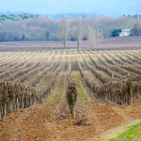 Bellevue Cite Chez Jean - Vue Directe Cite, Cite A 200m, Clim, Parking Public Gratuit A 200m, Wifi - Direct View Cite, 200m To Cite, Aircon, Free Public Car Park 200m, Wifi * Carcassonne
